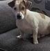 Carl Streeter - Facebook