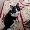 carlynstreeter869 - @carlynstreeter869 - TikTok