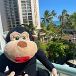 Carl Does Stuff - @carl_does_stuff_ - Instagram
