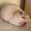 Carl._.stuff - @carl._.stuff - TikTok