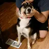 carleigh.stull - @carleigh.stull - TikTok
