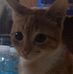 Aldred Karl Sogce - Facebook
