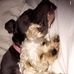Carl Sumlin - Facebook