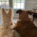 Carl Sumlin - Facebook