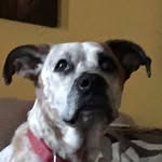 Carly - @_carly.sutter_ - Instagram