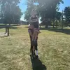 Chase Suttles - @chase.suttles - TikTok