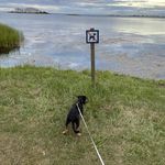 Carl Sutton - @dogmatic69 - Instagram