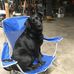 Carl Swain - Facebook