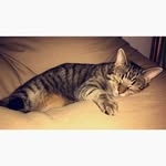 Carl - @carl.sweet - Instagram