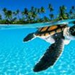 Sylvain Carle - @carle.sylvain - Instagram