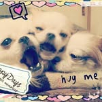 ののか - @carltaitei - Instagram
