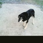 Carl tebbe - @carltebbe - Instagram