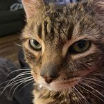 Carl Temple - @moosevip1 - Instagram