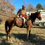 Carl H. Tepper - @chtepper - Instagram
