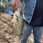 Carl Thacker - @carl.thacker1 - Instagram