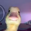 Carl_T - @carl_tom - TikTok