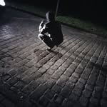 Carl Tom Wagner - @cltmw - Instagram