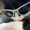 Carl.van__ - @carl._van - TikTok