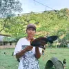 VANO' GAMEYARD🐓🇵🇭 - @carlvan17 - TikTok