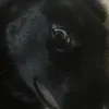 CarlVancegBn - @carlvancegbn - TikTok