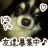 Carl_Vince - @Carl_Vince - TikTok