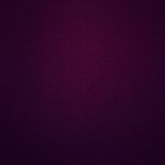 Carla Visscher - @visscher_carla - Instagram