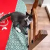 Carl Warwick741 - @carl.warwick42gmail.com0 - TikTok