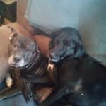 Carl Whitaker - @carlwhitaker64 - Instagram