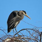 Carl Whitney - @clw48 - Instagram