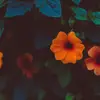 Whitney Carl - @whitney.carl - TikTok