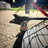 zjuizy - @carelzips - TikTok