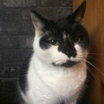 Carla - @carlaabbott123 - Instagram