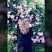 Carla Alcaide - Facebook