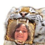 Carla Alcaide Puchades - @carlaalcaide2005 - Instagram