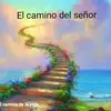 carlaanzaldi959 - @carlaanzaldi810 - TikTok