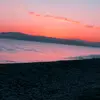 Carla_Apple_tree - @carla_apple_tree - TikTok