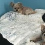 Carla Avery - @carlaavery7 - Instagram