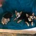 Carla Avery - Facebook