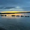 Carla - @carlabain - TikTok