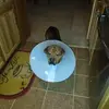 Carla Ball - @carla.ball0 - TikTok