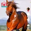 carlabar12 - @carlabar12 - TikTok