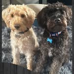 Carla Barker - @carlabarker2024 - Instagram