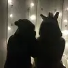carla_barnes - @carla_barnes - TikTok
