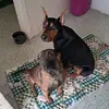 Carla & Barron - @carla.barron4 - TikTok