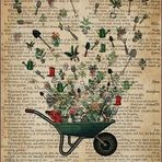 Carla Barron - Facebook