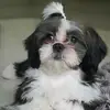 Carla - @carlabarron87 - TikTok