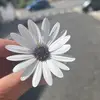 ૮α૨ℓα вα૨૨ѳઽ ➰ - @___carla.barros__1 - TikTok