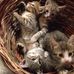 Carla Bartolucci - Facebook