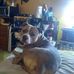 Carla Bays - Facebook