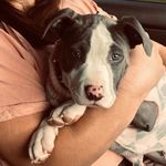 Bean - @carla_bean_ - Instagram